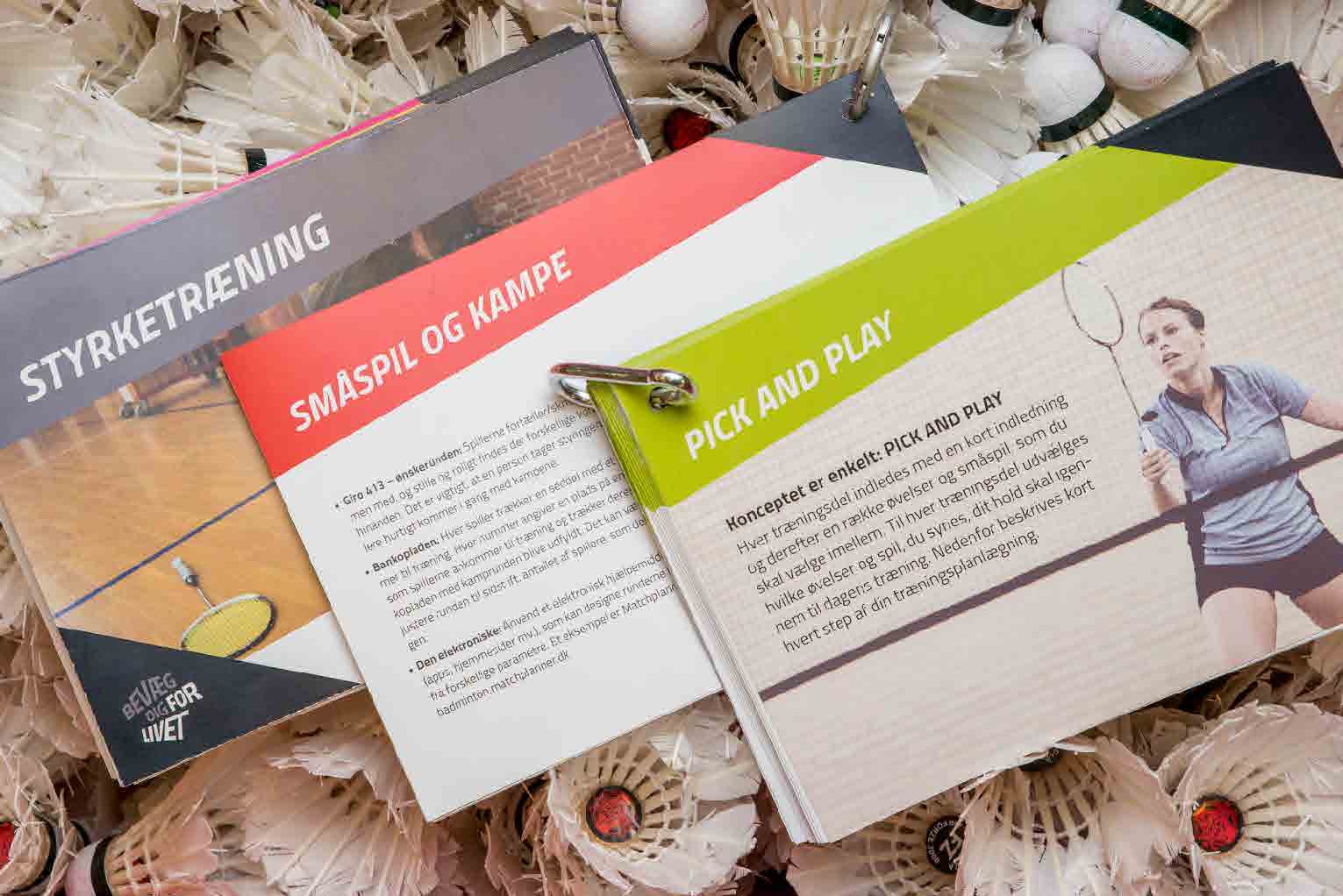 10326 BadmintonFitness - kort.jpg