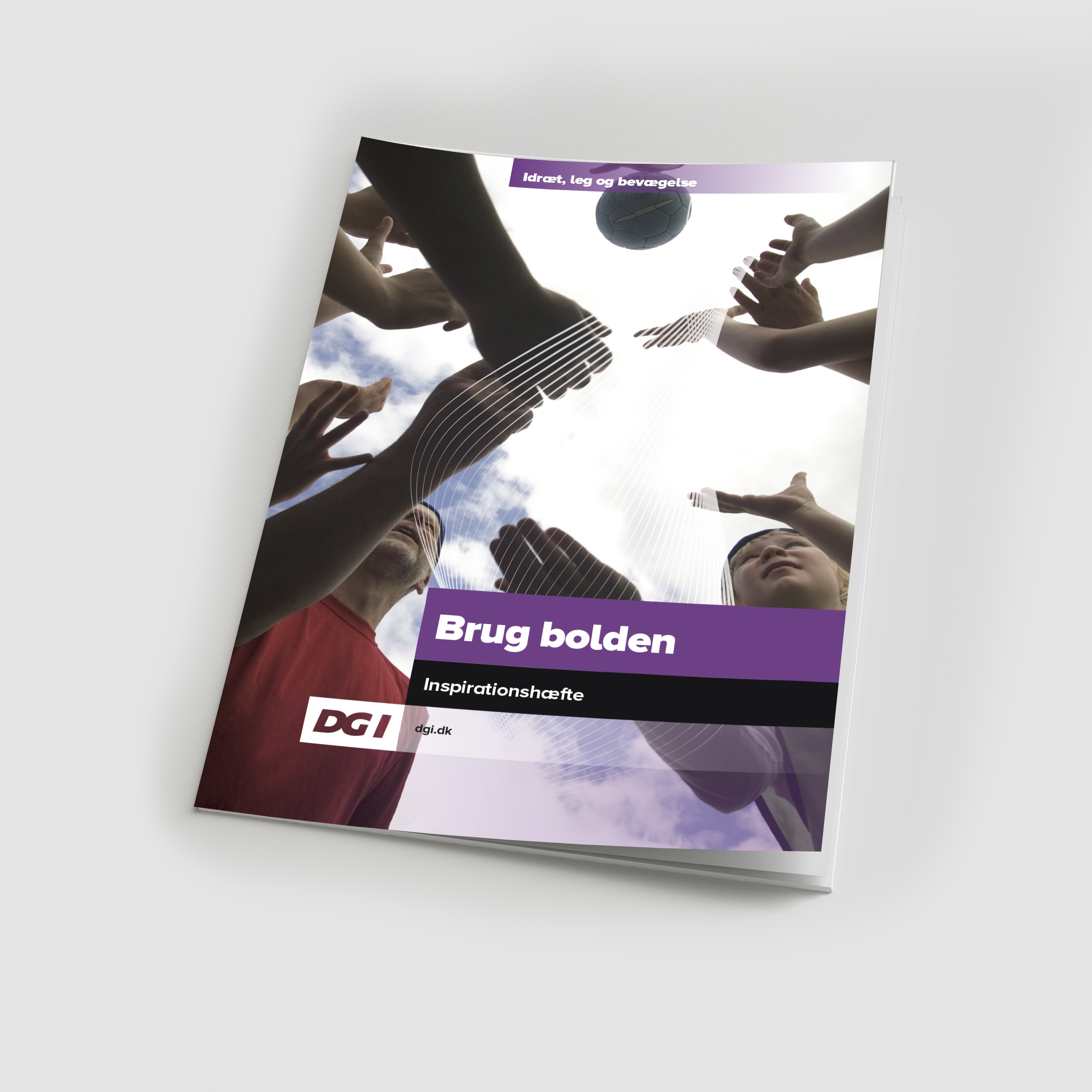 85917 Brug bolden.jpg