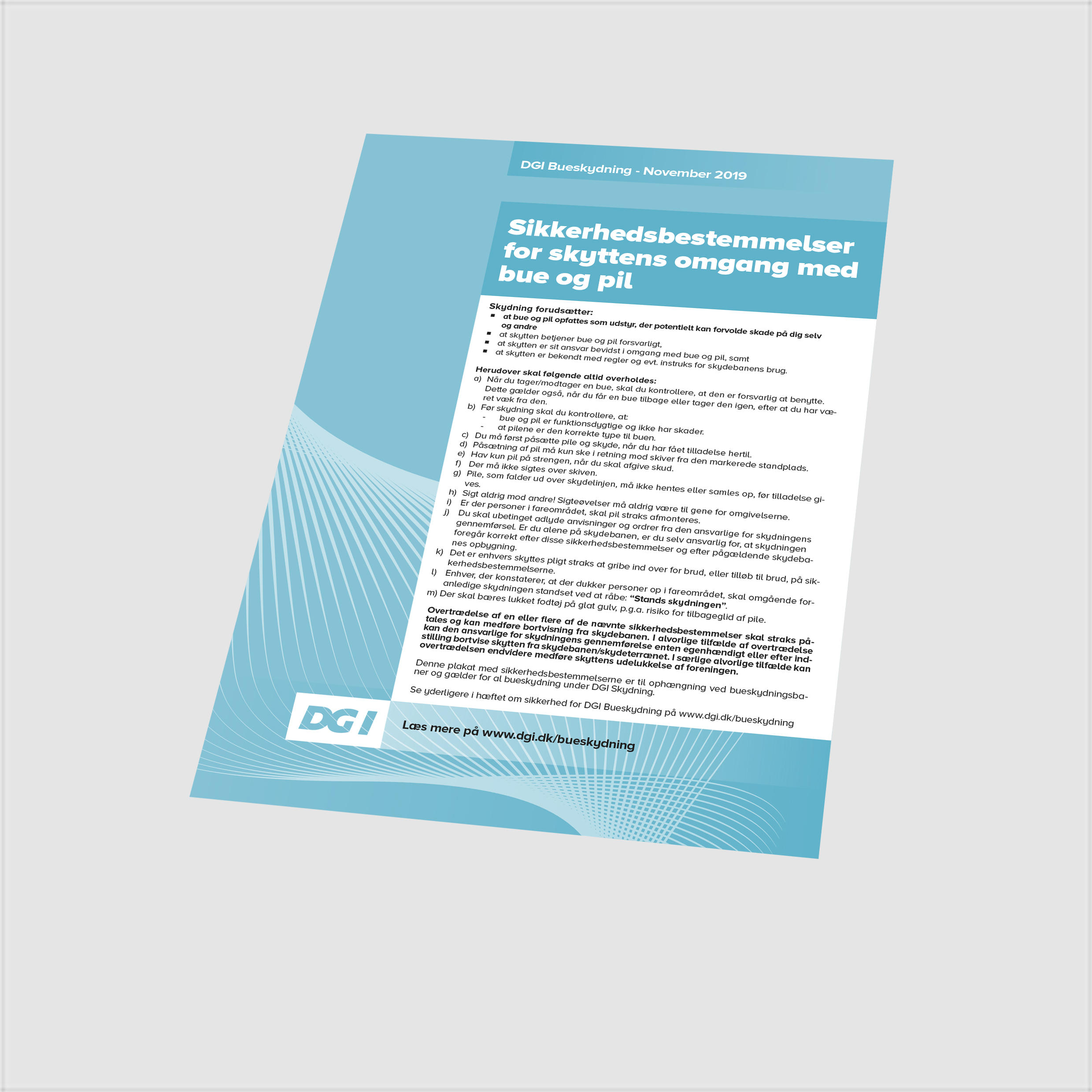 74016 Sikkerhedsplakt bueskydning.jpg