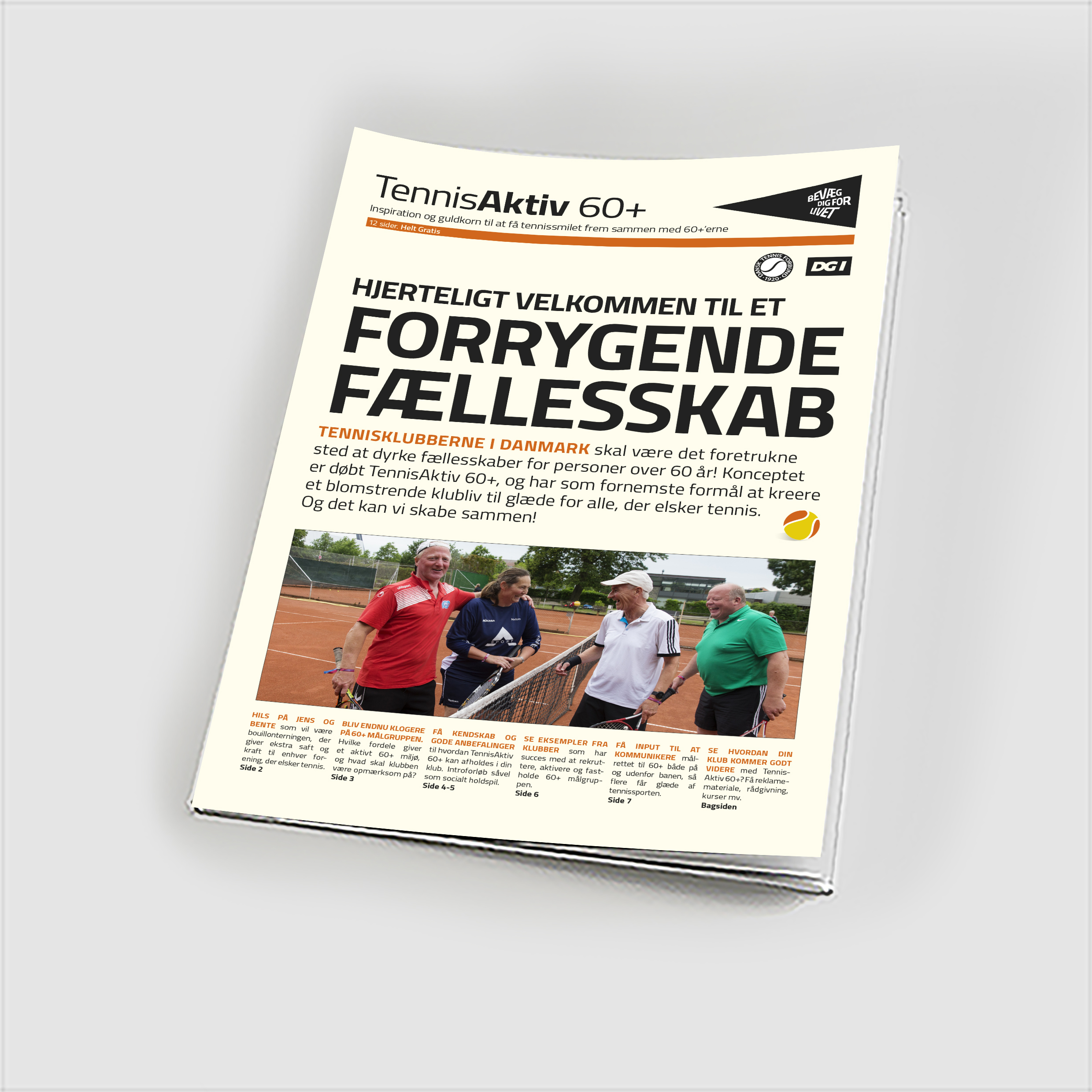 80532 BDFL Tennis Aktiv 60+ Avis.jpg