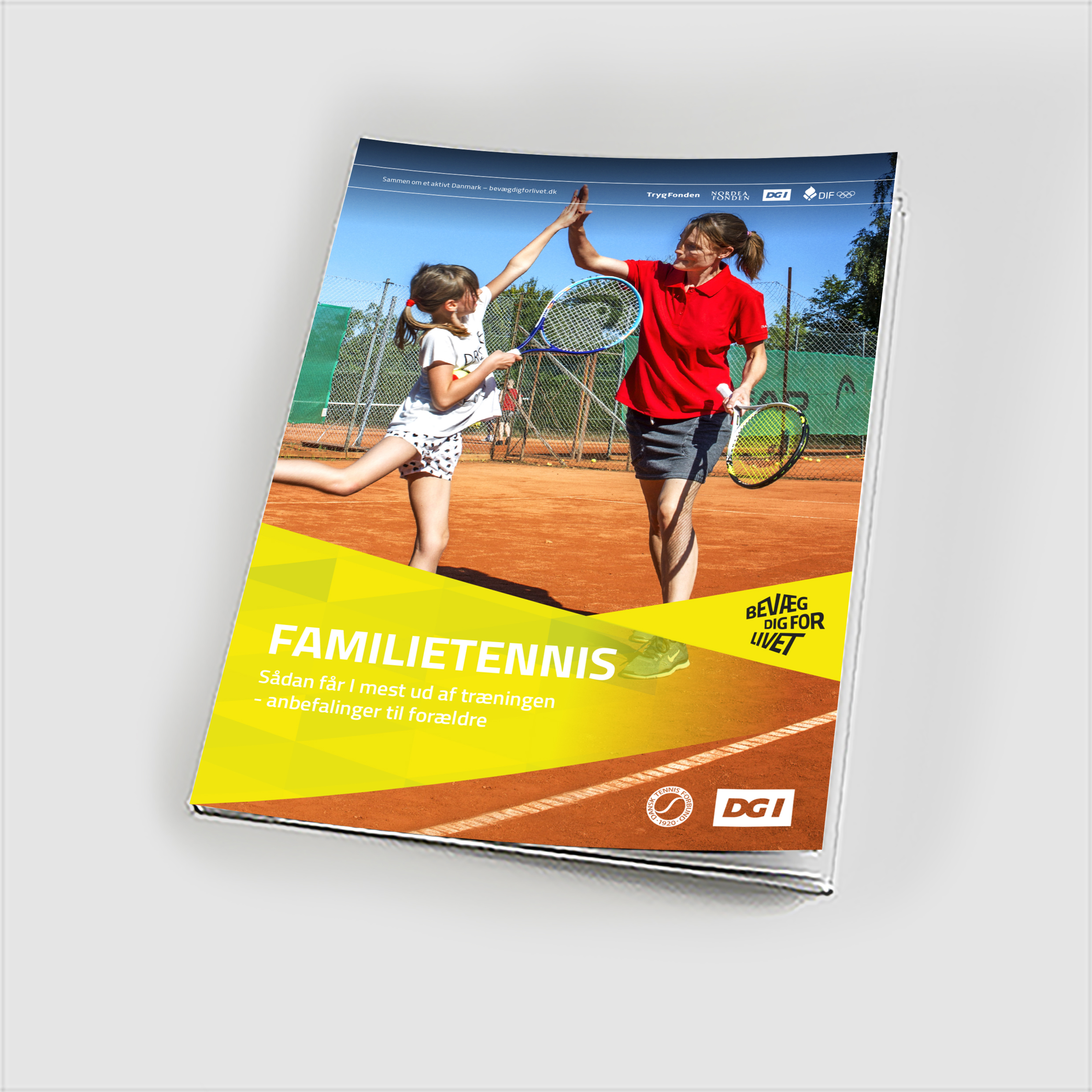 80528 Anbefaling til forældre - kom godt igang.jpg