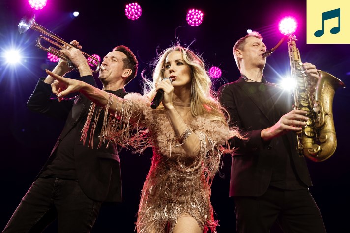 62086 61414 61290 60558 L2025 Musik Hit Orchestra Enkelteartister 712X475