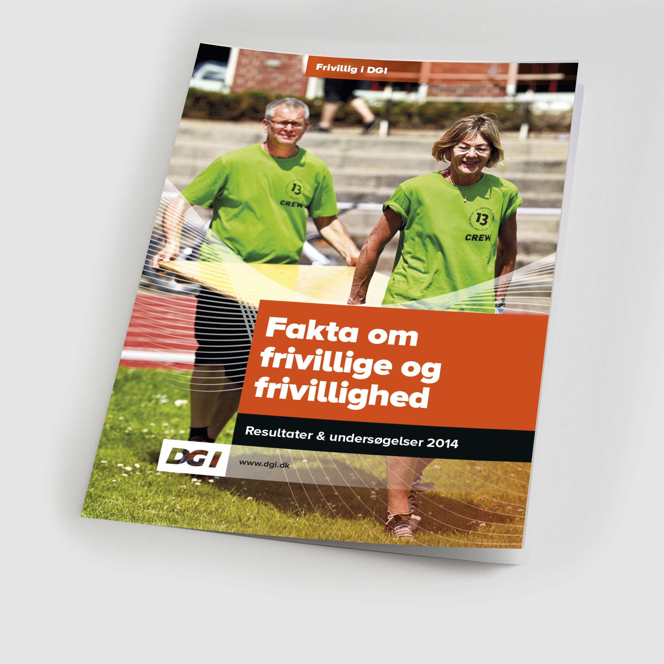 85021 Fakta om frivillige og frivillighed