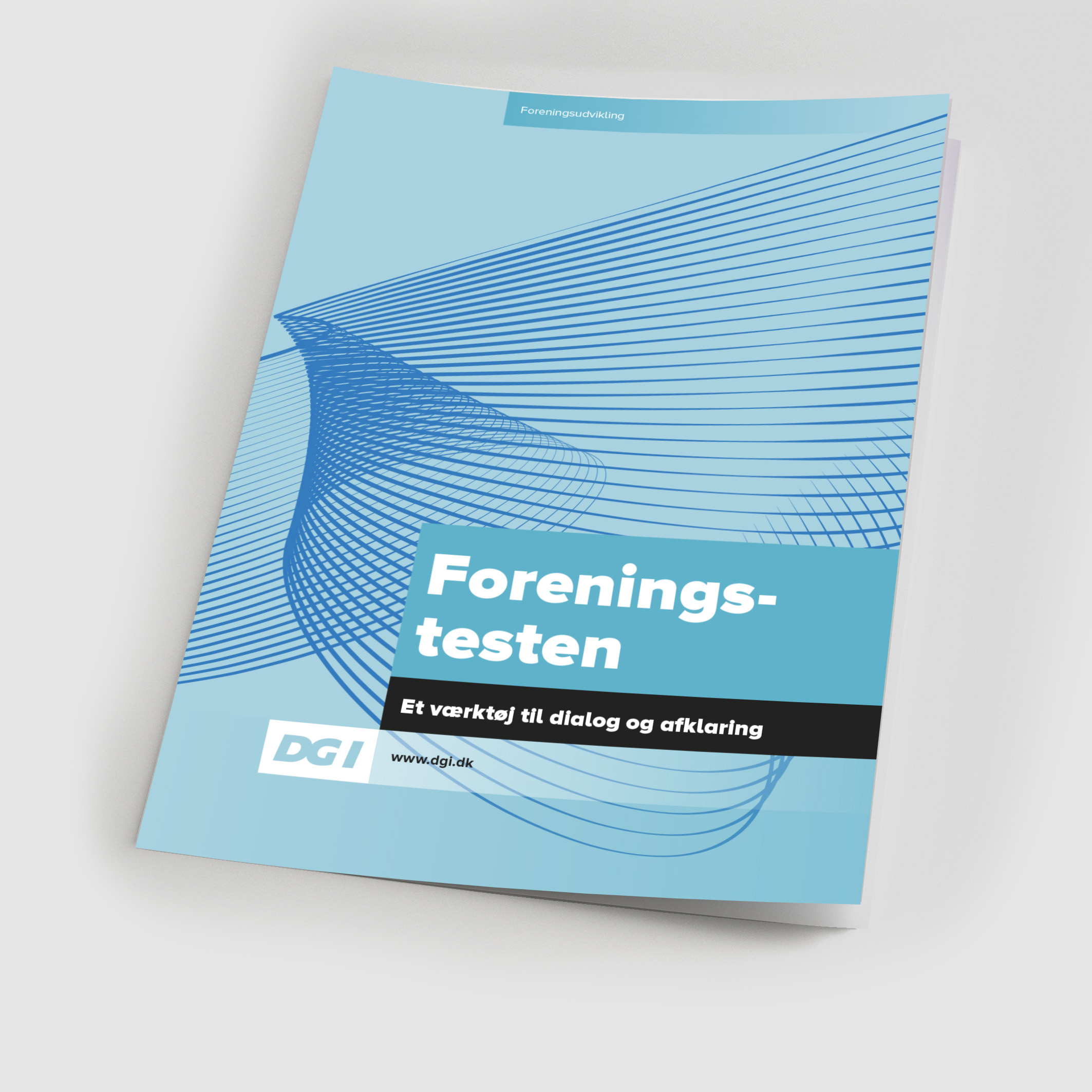 85929 Foreningstesten