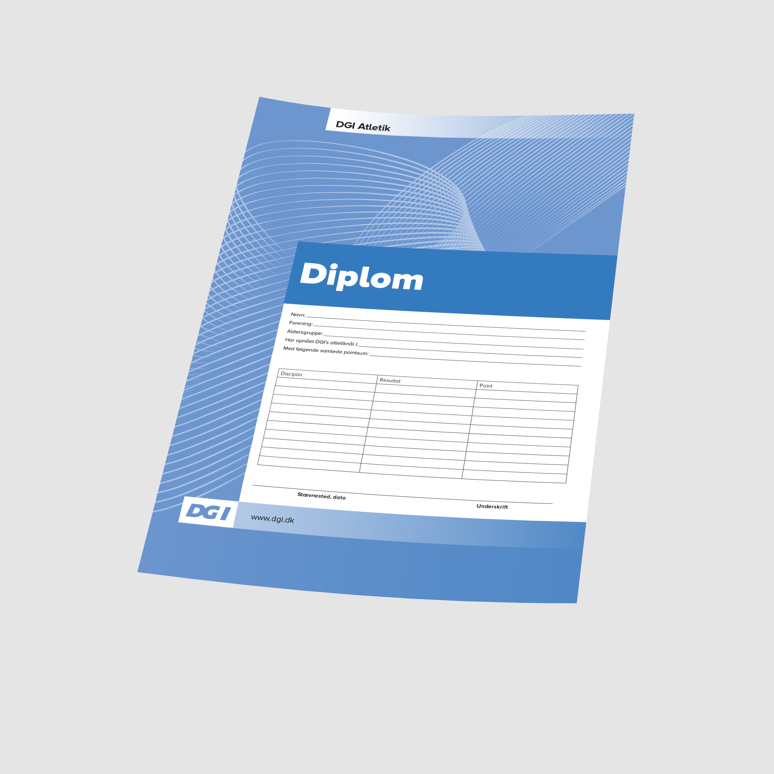 05206 Diplom til nålestævne