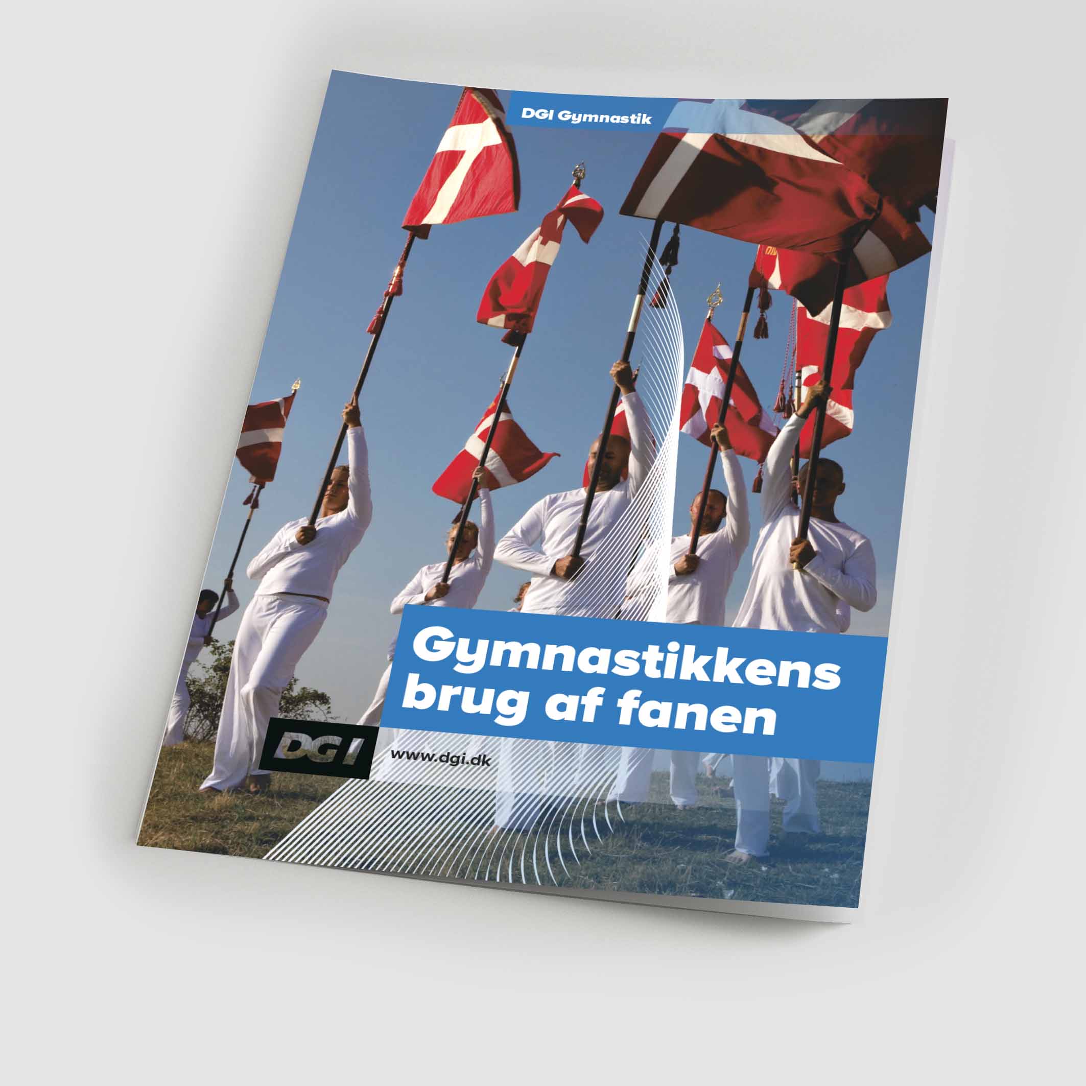 55431 Gymnastikkens brug af fanen.jpg